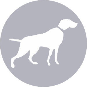 Кліпарт іконка з мисливською собакою