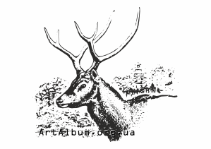 Clipart Pere David's deer