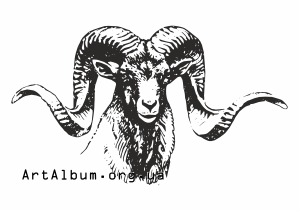 Clipart argali