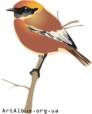 Clipart bird