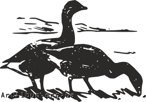 Clipart geese