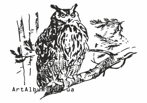 Clipart screech owl