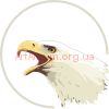 Кліпарт Білоголовий орлан