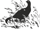 Clipart black grouse or blackgame (Tetrao tetrix)