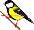 Clipart great tit