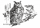 Clipart screech owl