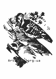 Clipart woodpecker