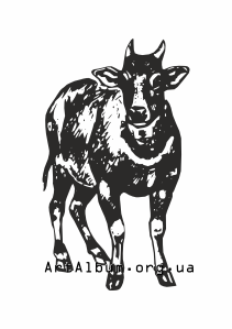 Кліпарт карликовий буйвіл аноа