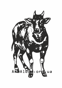 Clipart dwarf buffalo anoa