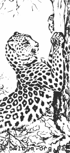 Clipart leopard