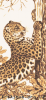 Clipart leopard