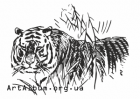 Клипарт тигр