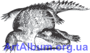 Clipart crocodilia