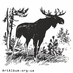 Clipart elk