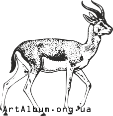 Clipart goitered gazelle