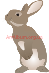 Clipart rabbit