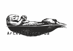 Clipart sea otter