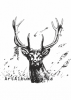 Clipart bactrian deer (bukhara dee)