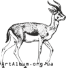 Clipart goitered gazelle