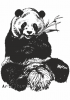 Клипарт панда