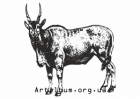 Clipart taurotragus antelope