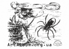 Clipart water spider