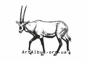 Clipart white oryx