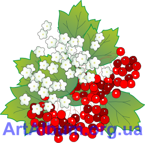 Clipart guelder rose