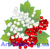 Clipart guelder rose