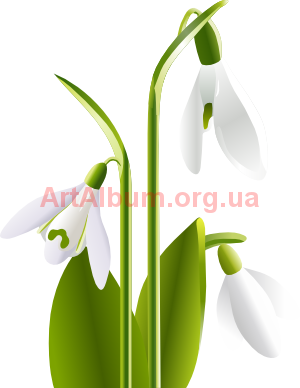 Clipart Common snowdrop