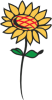 Clipart sunflower