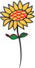 Clipart sunflower