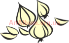 Clipart garlic