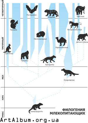 Кліпарт філогенія ссавців російською
