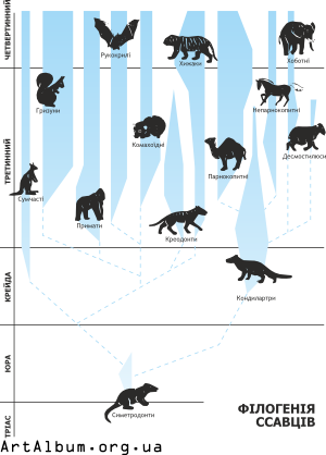 Clipart phylogeny of mammals in ukrainian