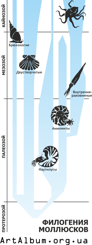 Clipart phylogeny of molluscs in russian