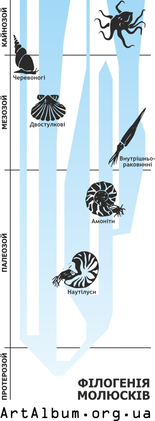 Clipart phylogeny of molluscs in ukrainian