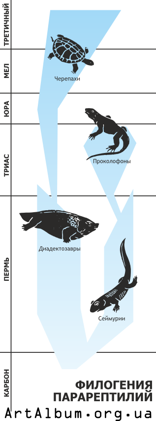 Clipart phylogeny of parareptiles russian