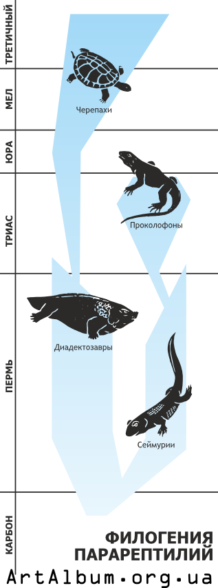 Кліпарт філогенія парарептилій російською