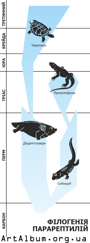 Clipart phylogeny of parareptiles in ukrainian