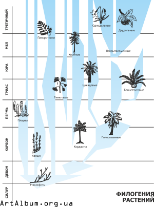 Clipart phylogeny of plants in russian