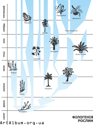 Clipart phylogeny of plants in ukrainian