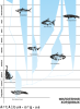 Clipart phylogeny of chordates in russian